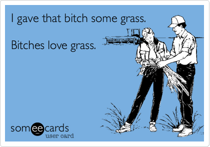 I gave that bitch some grass.

Bitches love grass.