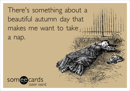 There's something about a
beautiful autumn day that
makes me want to take
a nap.