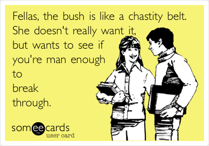 Fellas, the bush is like a chastity belt.
She doesn't really want it,
but wants to see if
you're man enough
to
break
through.