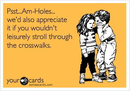 Psst...Am-Holes...
we'd also appreciate
it if you wouldn't
leisurely stroll through
the crosswalks. 