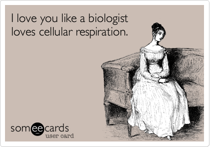 I love you like a biologist
loves cellular respiration.