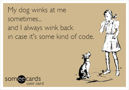 My dog winks at me
sometimes...
and I always wink back
in case it's some kind of code.
