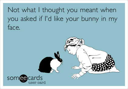 Not what I thought you meant when
you asked if I'd like your bunny in my
face.