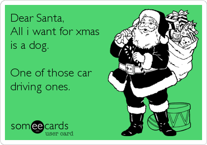Dear Santa,
All i want for xmas
is a dog.

One of those car
driving ones.