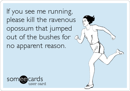 If you see me running,  
please kill the ravenous 
opossum that jumped
out of the bushes for  
no apparent reason.