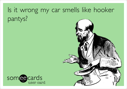 Is it wrong my car smells like hooker
pantys?