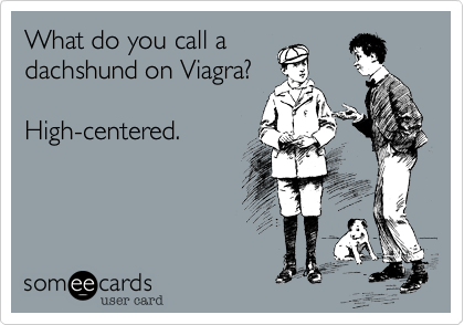 What do you call a
dachshund on Viagra%3F 

High-centered.