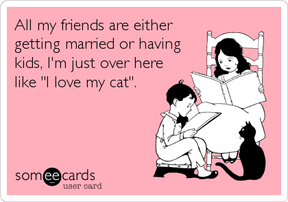 All my friends are either
getting married or having
kids, I'm just over here
like "I love my cat".