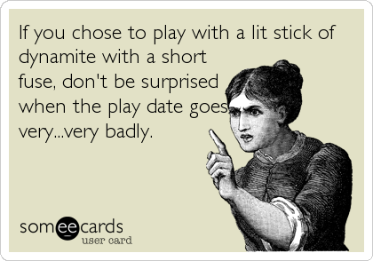 If you chose to play with a lit stick of
dynamite with a short
fuse, don't be surprised
when the play date goes
very...very badly.