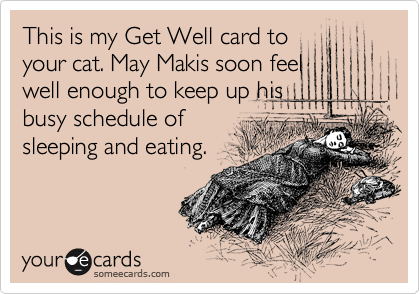 This is my Get Well card to
your cat. May Makis soon feel
well enough to keep up his
busy schedule of
sleeping and eating.