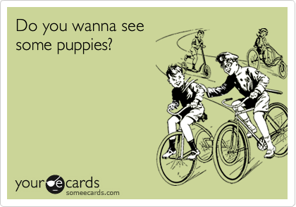 Do you wanna see 
some puppies?