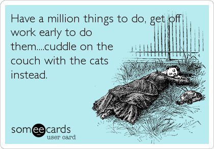 Have a million things to do, get off
work early to do
them....cuddle on the
couch with the cats
instead.
