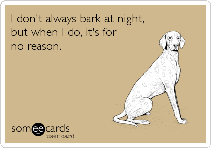 I don't always bark at night, 
but when I do, it's for
no reason.