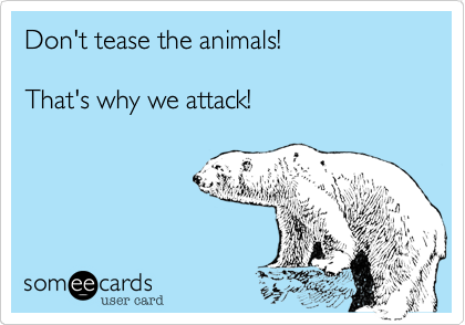 Don't tease the animals! That's why we attack! | News Ecard