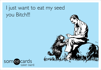 I just want to eat my seed
you Bitch!!!
