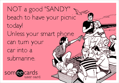 NOT a good "SANDY"
beach to have your picnic
today! 
Unless your smart phone
can turn your
car into a 
submarine.  