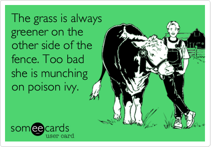 The grass is always
greener on the
other side of the
fence. Too bad
she is munching
on poison ivy.