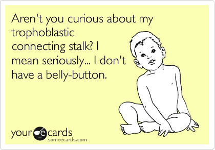 Aren't you curious about my throphoblastic
connecting stalk? I
mean seriously... I don't
have a belly-button.