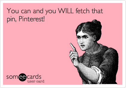 You can and you WILL fetch that pin, Pinterest!