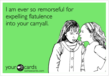 I am ever so sorry for remorseful for expelling flatulence
into your carryall.