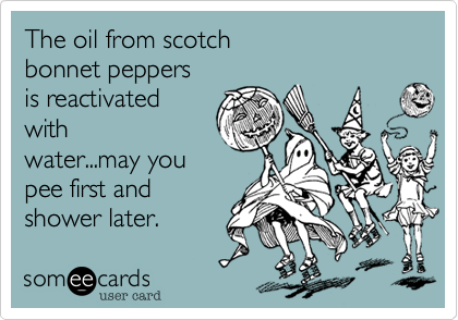 The oil from scotch
bonnet peppers
is reactivated
with
water...may you 
pee first and
shower later. 