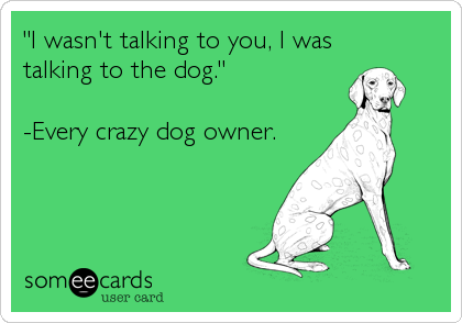 "I wasn't talking to you, I was
talking to the dog."

-Every crazy dog owner.
