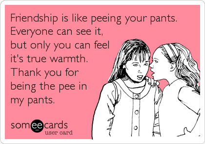 Friendship is like peeing your pants. Everyone can see it, but