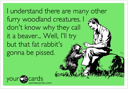 I understand there are many other furry woodland creatures. I
don't know why they call
it a beaver... Well, I'll try
but that fat rabbit's
gonna be pissed.