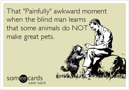 That "Painfully" awkward moment
when the blind man learns
that some animals do NOT
make great pets.