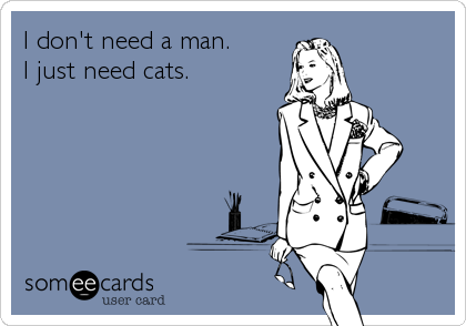 I don't need a man.
I just need cats.