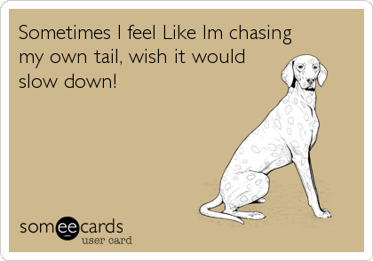 Sometimes I feel Like Im chasing
my own tail, wish it would
slow down!
