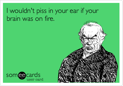 I wouldn't piss in your ear if your brain was on fire.