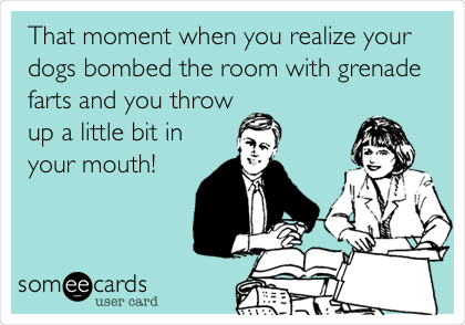 That moment when you realize your
dogs bombed the room with grenade
farts and you throw
up a little bit in
your mouth!