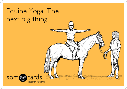Equine Yoga: The
next big thing.