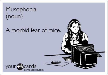Musophobia
(noun)

A morbid fear of mice.