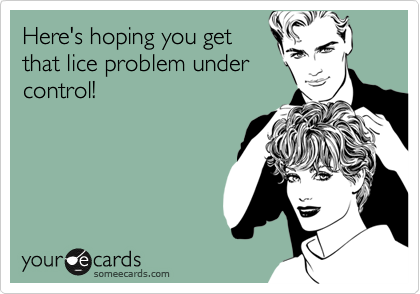 Sorry you got lice "from
your kids".