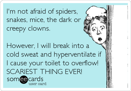 I'm not afraid of spiders,
snakes, mice, the dark or
creepy clowns.

However, I will break into a
cold sweat and hyperventilate if 
I cause your toilet to overflow!
SCARIEST THING EVER!