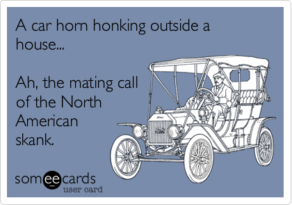 A car horn honking outside a house...

Ah, the mating call
of the North
American
skank.