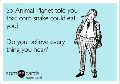 So Animal Planet told you
that corn snake could eat
you?

Do you believe every
thing you hear?