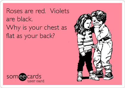 Roses are red.  Violets
are black.
Why is your chest as
flat as your back?
