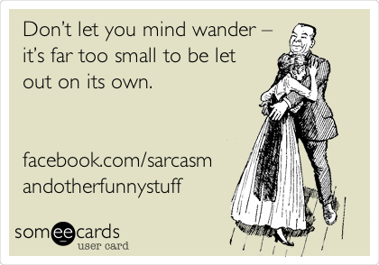 Donâ€™t let you mind wander â€“
itâ€™s far too small to be let
out on its own.


facebook.com/sarcasm
andotherfunnystuff