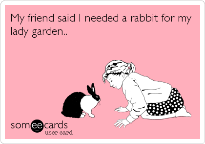 My friend said I needed a rabbit for my
lady garden..