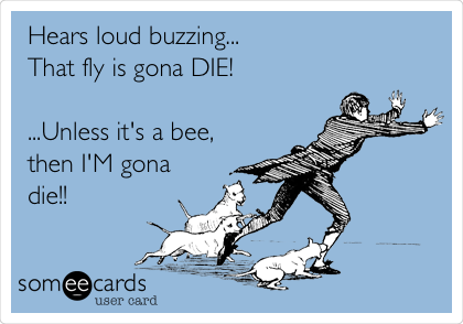 Hears loud buzzing...
That fly is gona DIE! 

...Unless it's a bee,
then I'M gona
die!!