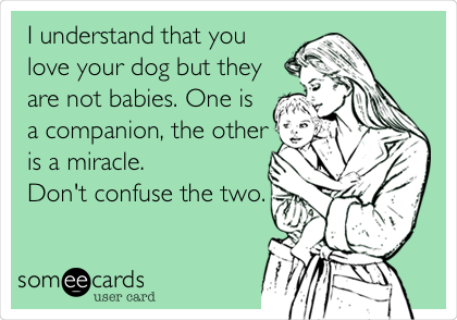  I understand that you
love your dog but they
are not babies. One is
a companion, the other
is a miracle. 
Don't confuse the two. 