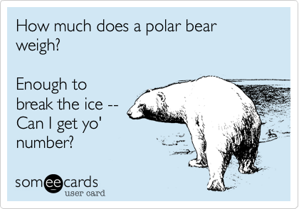How much does a polar bear weigh?

Enough to
break the ice --
Can I get yo'
number?