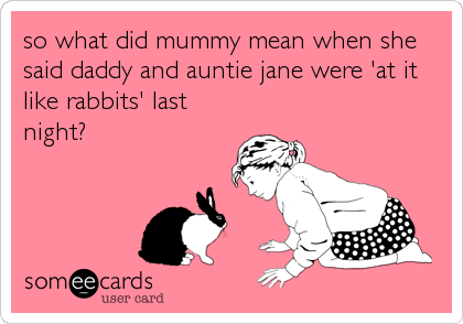 so what did mummy mean when she
said daddy and auntie jane were 'at it
like rabbits' last
night?