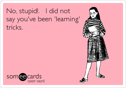No, stupid!.   I did not
say you've been 'learning'
tricks.