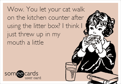 Wow. You let your cat walk
on the kitchen counter after
using the litter box? I think I
just threw up in my
mouth a little