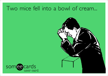 Two mice fell into a bowl of cream...