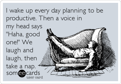 I wake up every day planning to be
productive. Then a voice in
my head says
"Haha, good
one!" We
laugh and
laugh, then
take a nap.